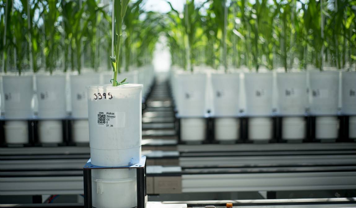 pf phenotypage haut débit Montpellier